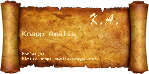 Knapp Amália névjegykártya